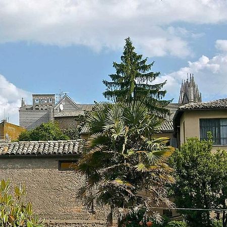 Il Gelsomino Di Isia Villa Orvieto Exterior photo