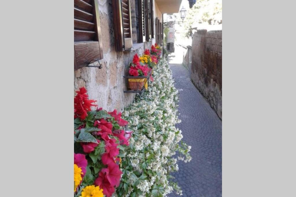 Il Gelsomino Di Isia Villa Orvieto Exterior photo